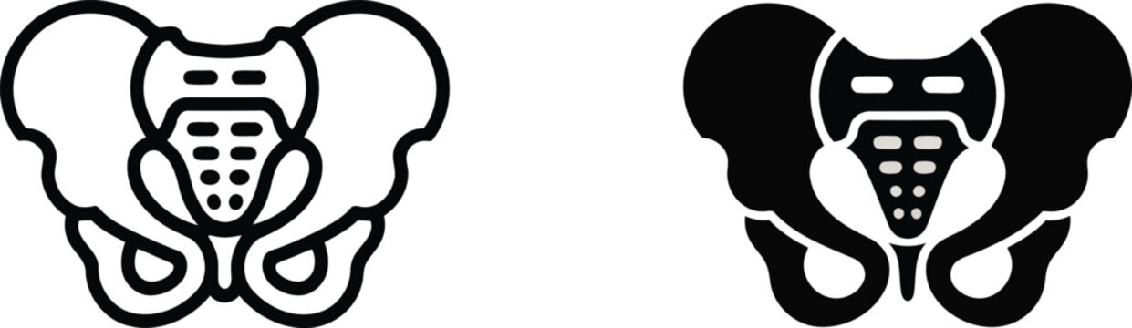 Human pelvis anatomy illustration set line art and solid fill