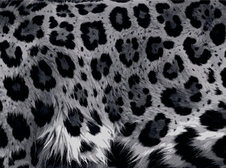 Obraz premium animal Print vector
