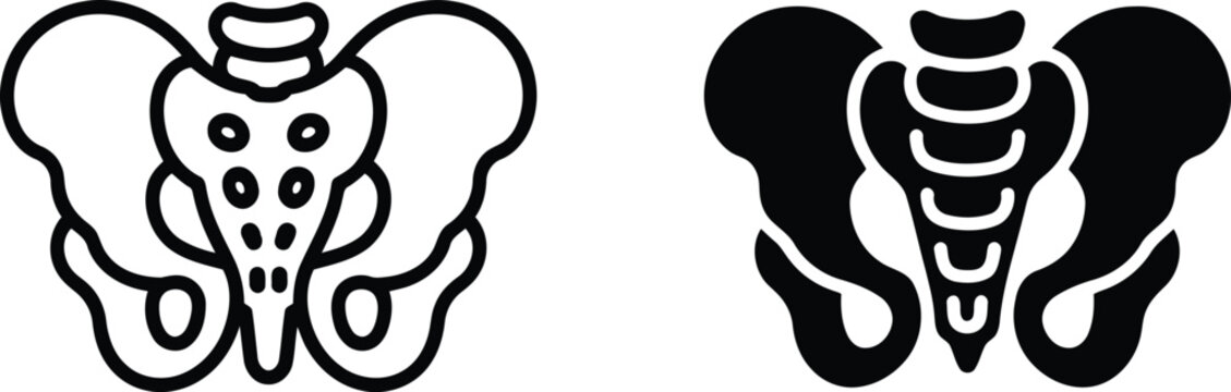 Human pelvis anatomy illustration set line art and solid silhouette