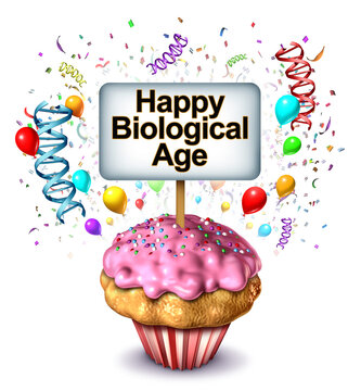 Biological age concept as a birthday cupcake, celebratory balloons DNA strands and colorful confetti symbolizing longevity science healthy aging epigenetic age biomarkers wellness and the difference b