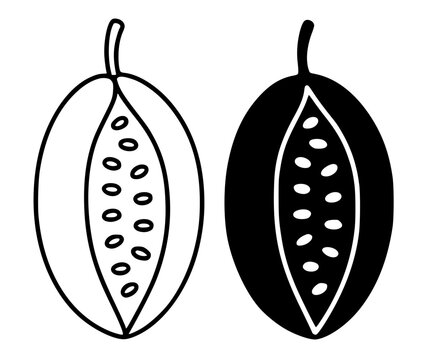 Akebia illustration, minimalist outline and silhouette icon