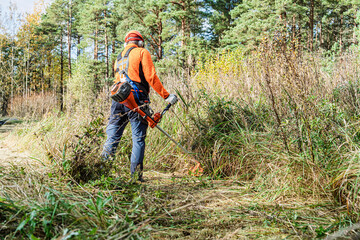A professional landscaper clears tall grass and brush in a forest using a string trimmer while wearing full safety gear. The scene highlights brush clearing and routine land. © Ilja
