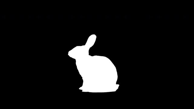 Rabbit sitting and standing up on black background. Black and white for compositing and presentation. Alpha matte isolated.