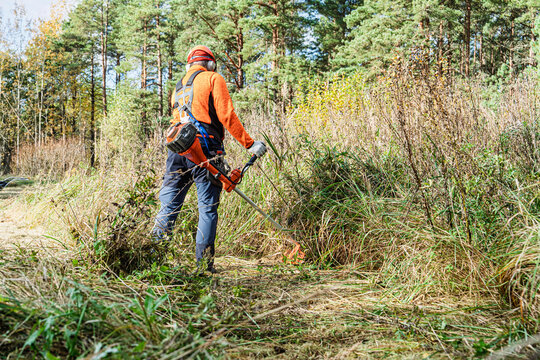 A professional landscaper clears tall grass and brush in a forest using a string trimmer while wearing full safety gear. The scene highlights brush clearing and routine land.