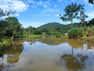 Fototapeta premium Tropical Lake Reflection Surrounded by Rainforest Landscape inat Kepong Botanic Gardens (Taman Botani Kepong ), Kuala Lumpur, Malaysia.
