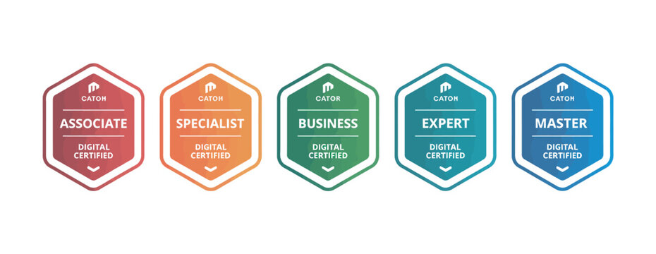 Five hexagonal badges showing digital certification levels from Associate to Master