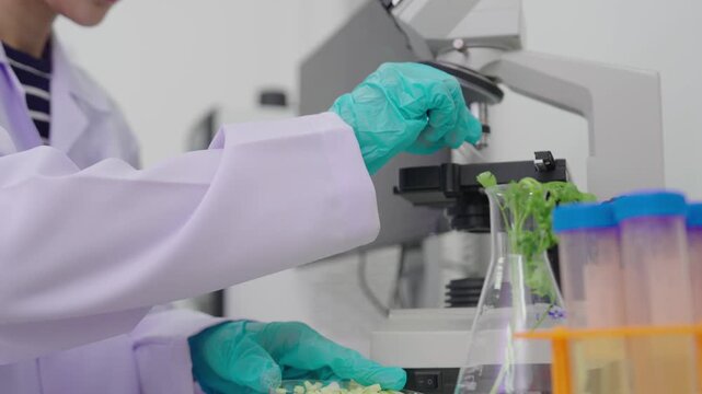 Laboratory quality control testing by food scientists and microbiologists involves analyzing vegetable samples using microscopes and clipboards, while laboratory technicians use them.