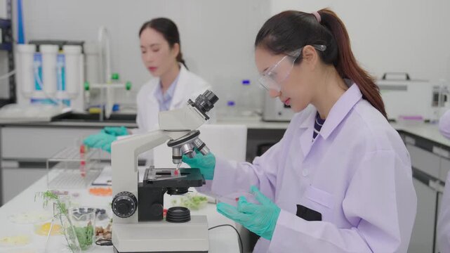 Laboratory quality control testing by food scientists and microbiologists involves analyzing vegetable samples using microscopes and clipboards, while laboratory technicians use them.