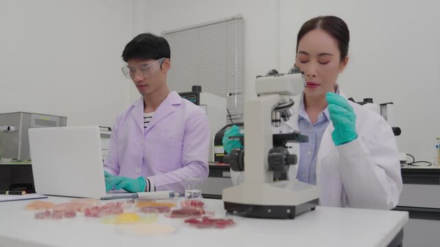 Food scientists test cultured or raw meat samples in a laboratory. Laboratory technicians analyze artificial or fresh meat products using petri dishes.