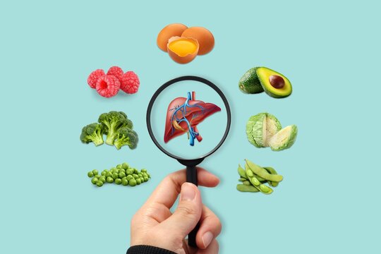 Liver health nutrition concept featuring healthy foods that support liver function. Medical illustration focused on wellness, detoxification, metabolism, and preventive healthcare
