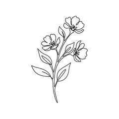 Obraz premium Minimalist Floral Line Drawing: Delicate Blossom Stem on White