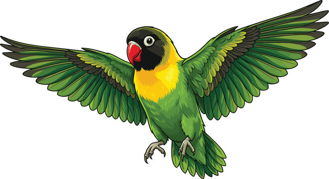 Colorful yellow collared lovebird parrot flying with open wings vector illustration, exotic pet isolated on white background