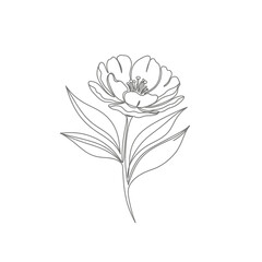 Obraz premium Minimalist flower linear illustration, elegant floral design, outline art concept