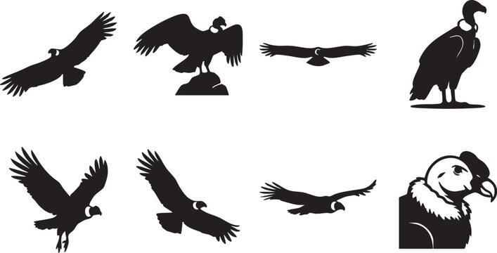 Vulture silhouettes, bird icons, flying birds, wildlife graphics, 8 black vulture illustrations