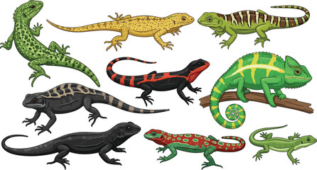 Vector illustration of diverse lizards including chameleon and reptiles in colorful patterns and natural poses © It's Bishaaaaaal