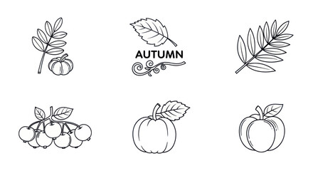 Fototapeta premium Autumn themed line art featuring leaves and pumpkins. Perfect for seasonal designs and illustrations.