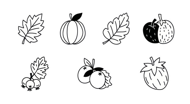 Hand-drawn autumn leaves and fruits collection for seasonal decorations or nature-themed designs.
