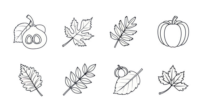 Hand-drawn collection of leaves and vegetables for educational or decorative purposes. Perfect for nature-themed designs.