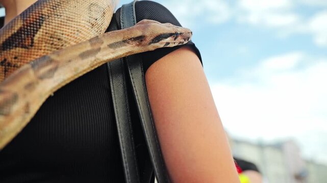 Detailed reptile scales gliding across shoulder during cinematic urban footage