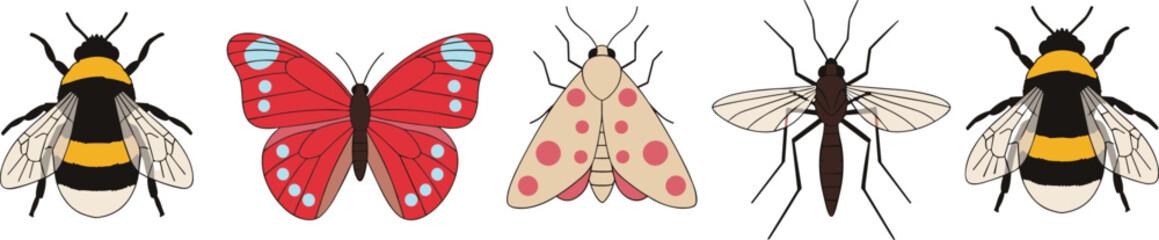 nsect Collection with Bumblebee Butterfly Moth Mosquito and Flying Pollinator Species Vector Illustration © Prodip