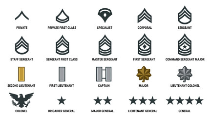 Obraz premium Military ranks insignia illustration, army officer badges
