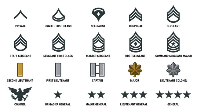Military ranks insignia illustration, army officer badges