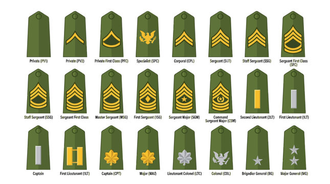 Military ranks insignias, army uniform illustration on white