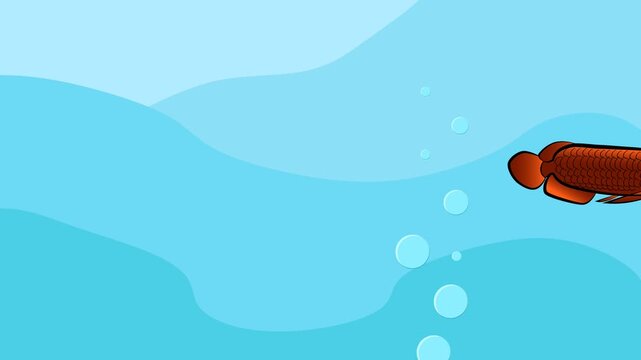 Cartoon red arowana Fishs Animation Motion Graphics Background