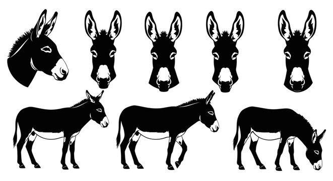 Donkey Silhouettes and Head Shots.
