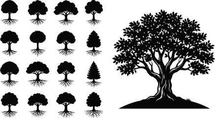Black and white of a tree with a large round leafy canopy large canopy round leaves symmetrical desi © MDMOHIN