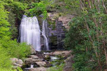 Obraz premium waterfall in the forest