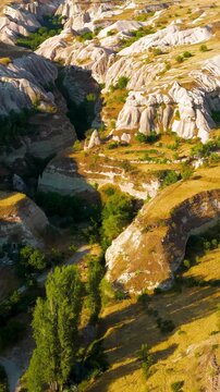 Vertical video. Goreme, Nevsehir, Turkey. Aerial drone view over a lush green canyon cutting through eroded white tuff rock formations in Cappadocia, with steep walls and scattered vegetation under c