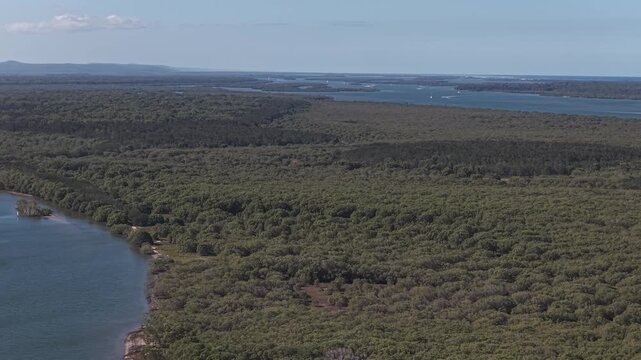 Jabiru Island Lush Vegetation In Paradise Point, QLD, Australia - Drone Shot