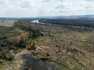Aerial view of hurricane damaged forest near river in Serbia, fallen trees and environmental destruction. g. © Artem Onoprienko