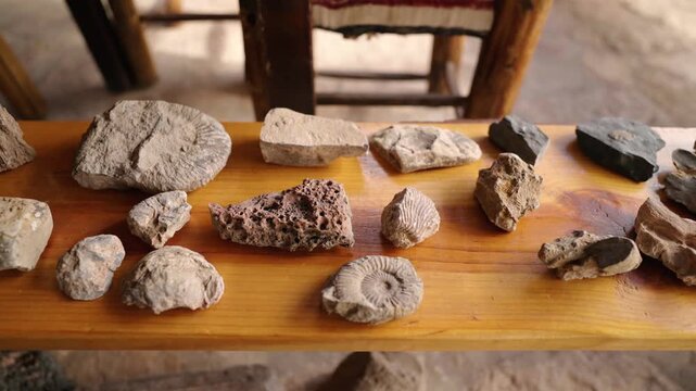 Assorted fossil rocks arranged on a wooden table in a rustic interior setting.
