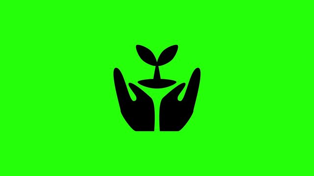 Premium 4K horizontal footage featuring two human palms cupping a fresh organic plant sprout seedling bouncing. Creative popup asset representing ecology protection global reforestation green agricult