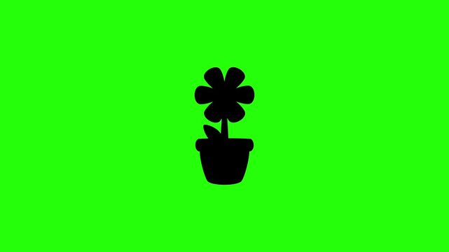 4K horizontal video clip showcasing a classic garden flowerpot with a blooming flower blossom plant bouncing. Clean popup icon graphic for floristry spring season domestic botany houseplant hobby web 