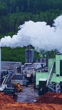 Vertical close-up of working Stora Enso sawmill with green buildings silos wheel loader steam and large wood chip piles backed by forest in Latvia