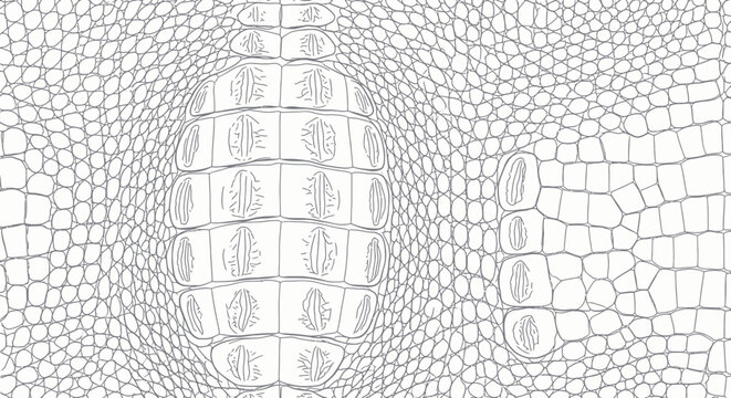 Crocodile Scaly Skin Closeup Detail.