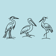 Fototapeta premium A collection of three distinct water birds in line art style