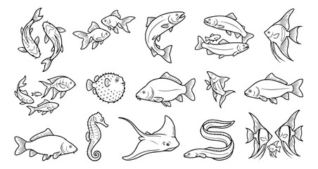 Fototapeta premium Hand drawn fish vector icons set, black and white aquatic animal line art, sea life and freshwater fish illustrations for coloring and design