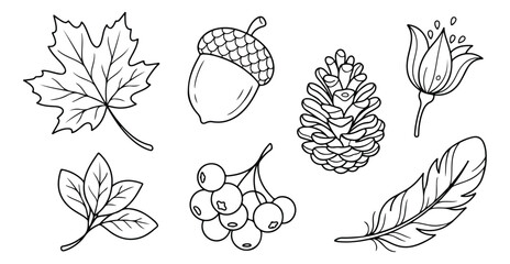 Autumn nature line art collection, hand drawn forest elements vector set, black and white botanical icons with acorn pinecone and maple leaf © Farah-Studio