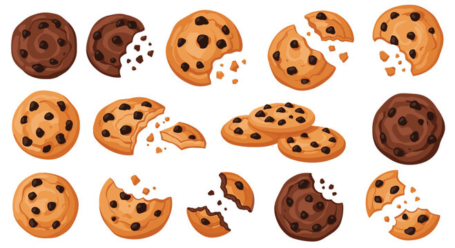 Diverse collection of chocolate chip cookies shown whole bitten and in crumbs representing various stages of a tasty snack or dessert.