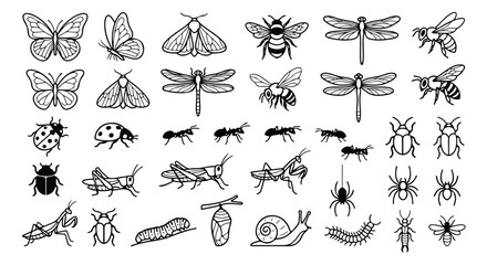 Minimalist insect line art collection, 34 black and white bug icons, butterfly and beetle vector set for educational graphics and logo design © Farah-Studio