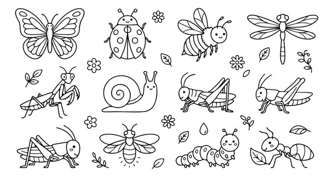 Cute insect coloring page vector set, cartoon garden bugs line art collection, black and white butterfly bee and ladybug illustrations for kids