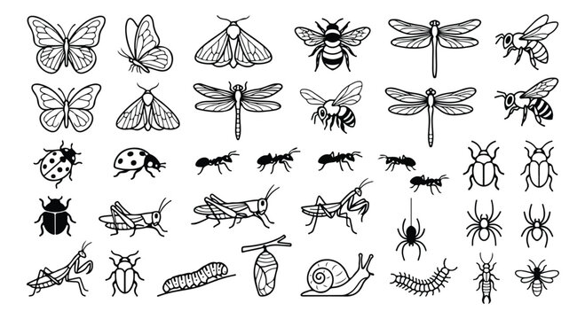 Minimalist insect line art collection, 34 black and white bug icons, butterfly and beetle vector set for educational graphics and logo design