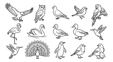 Fototapeta premium Minimalist bird line art collection, set of 15 avian vector icons, black and white wildlife illustrations for coloring books and educational design