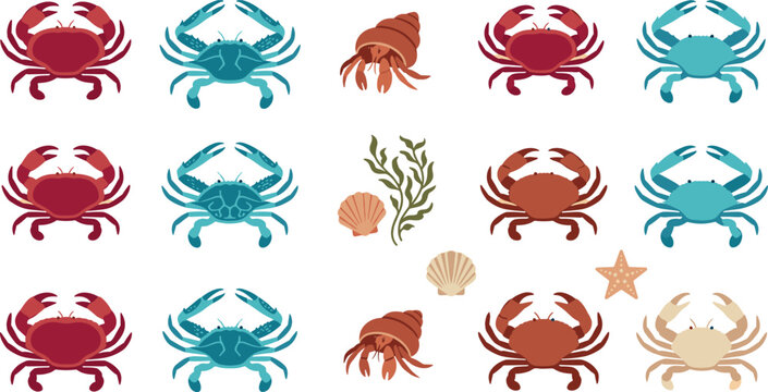 Marine Crustacean and Seafood Vector Icon Set Featuring Red Crabs Blue Swimming Crabs Hermit Crabs Sea Shells and Starfish Elements