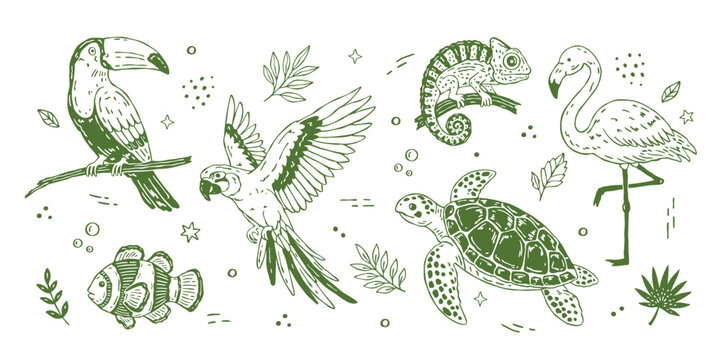 Whimsical tropical doodle vector animals set with hand drawn parrot, toucan, flamingo, sea turtle, tropical fish and chameleon in minimal flat style