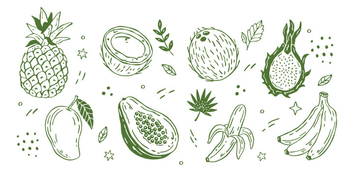 Whimsical tropical doodle vector fruits set with hand drawn pineapple, coconut, mango, banana, dragon fruit and papaya in minimal flat style